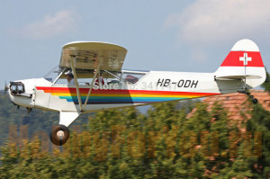 Радиоуправляемый самолет Skysun Piper J3 30cc (белый)
